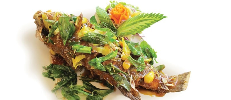 Royal Allamanda Grouper by Chef Songwut Monthirakanok at Allamanda Laguna Phuket — crispy whole grouper topped with tamarind and Thai herbs.