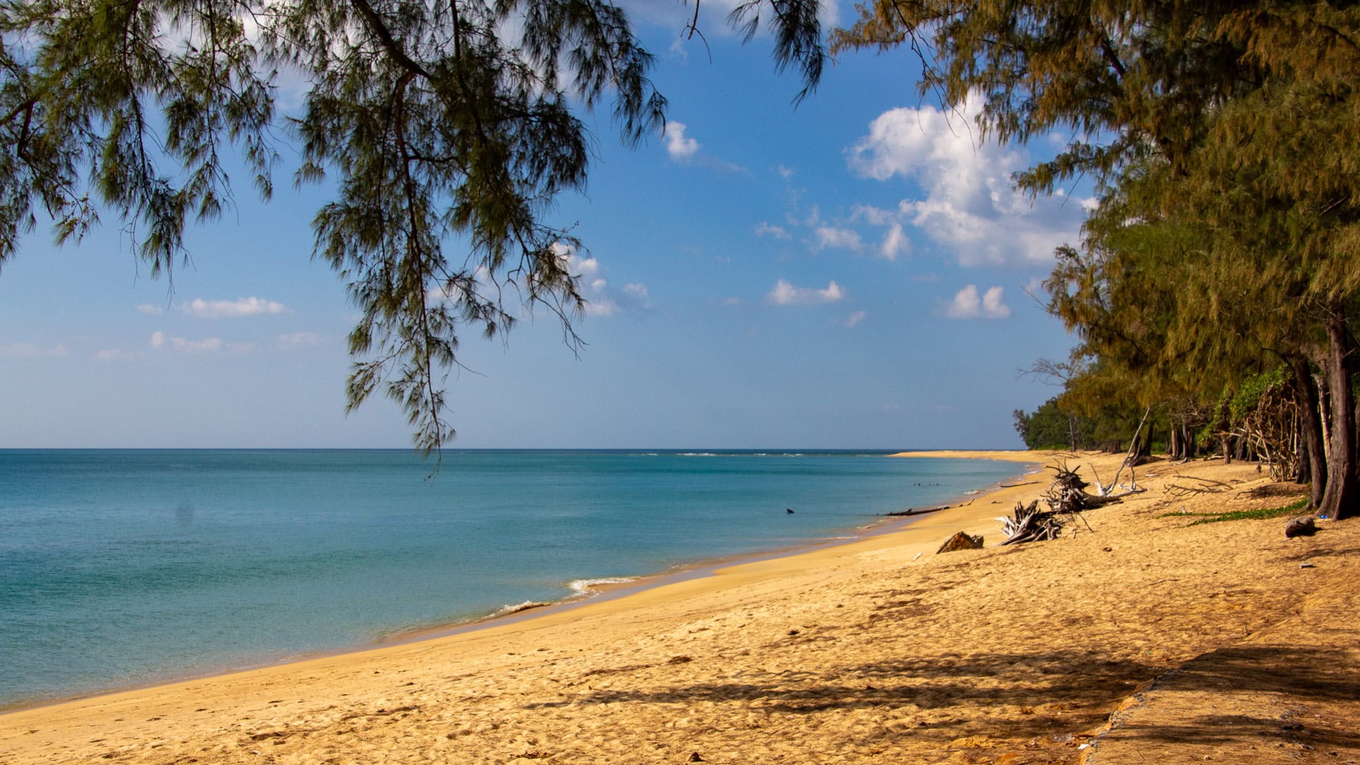Sai Kaew Beach Phuket with coarse sand, Casuarina branches, and calm water at the Pak Phra Strait.