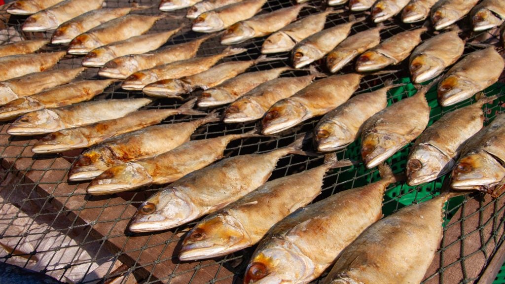 Whole fish arranged in rows on a drying rack outdoors, exposed to sun and airflow for preservation.