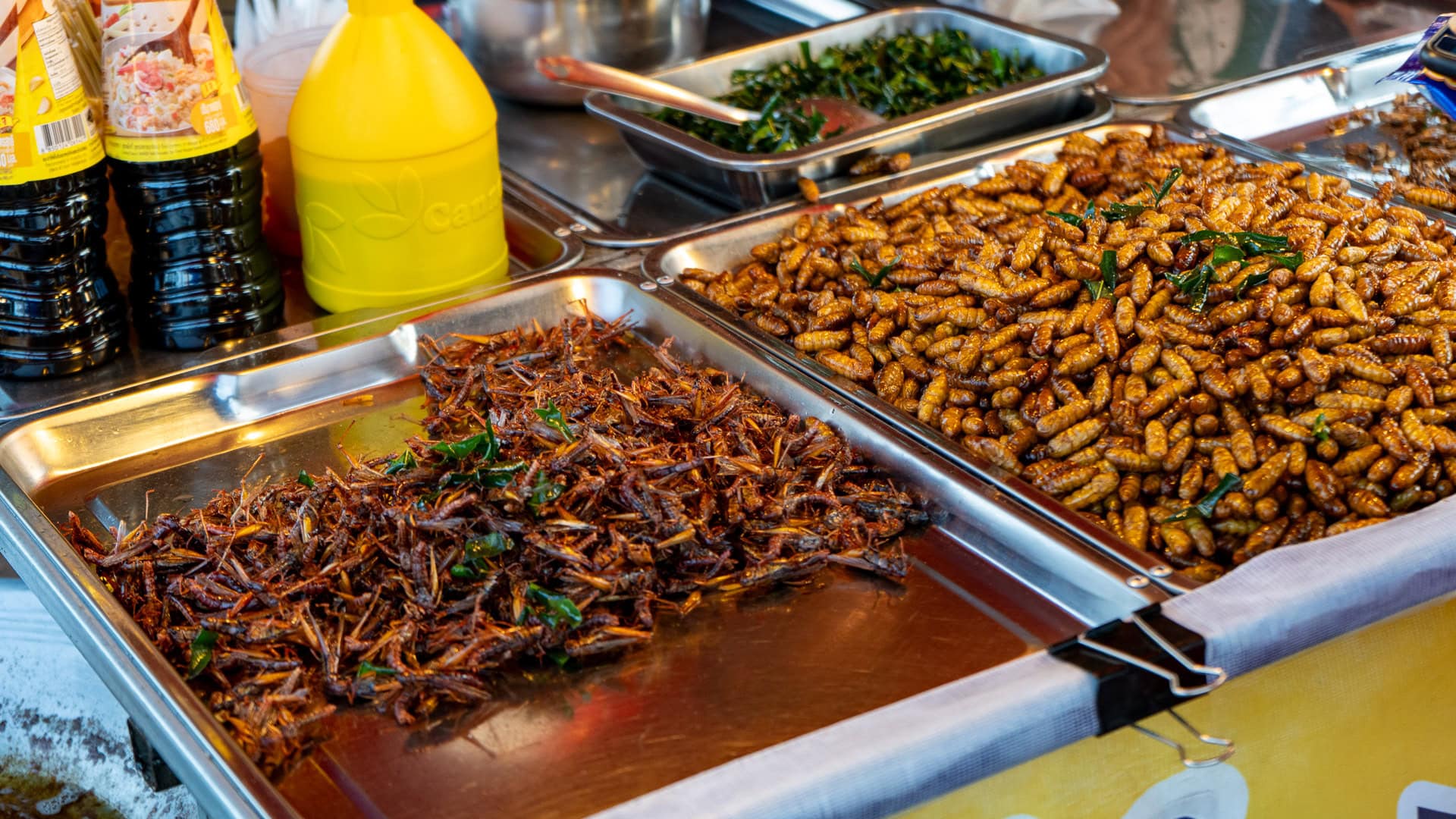 Cooked edible insects displayed at Chaeng Talay Street Food Market, including seasoned crickets and larvae prepared for sale.