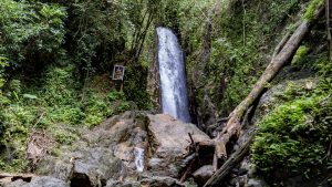 The main waterfall at Bang Pae Waterfall drops through a narrow rock cleft, with a “Do not jump” sign posted on the left and fallen trunks at the base.
