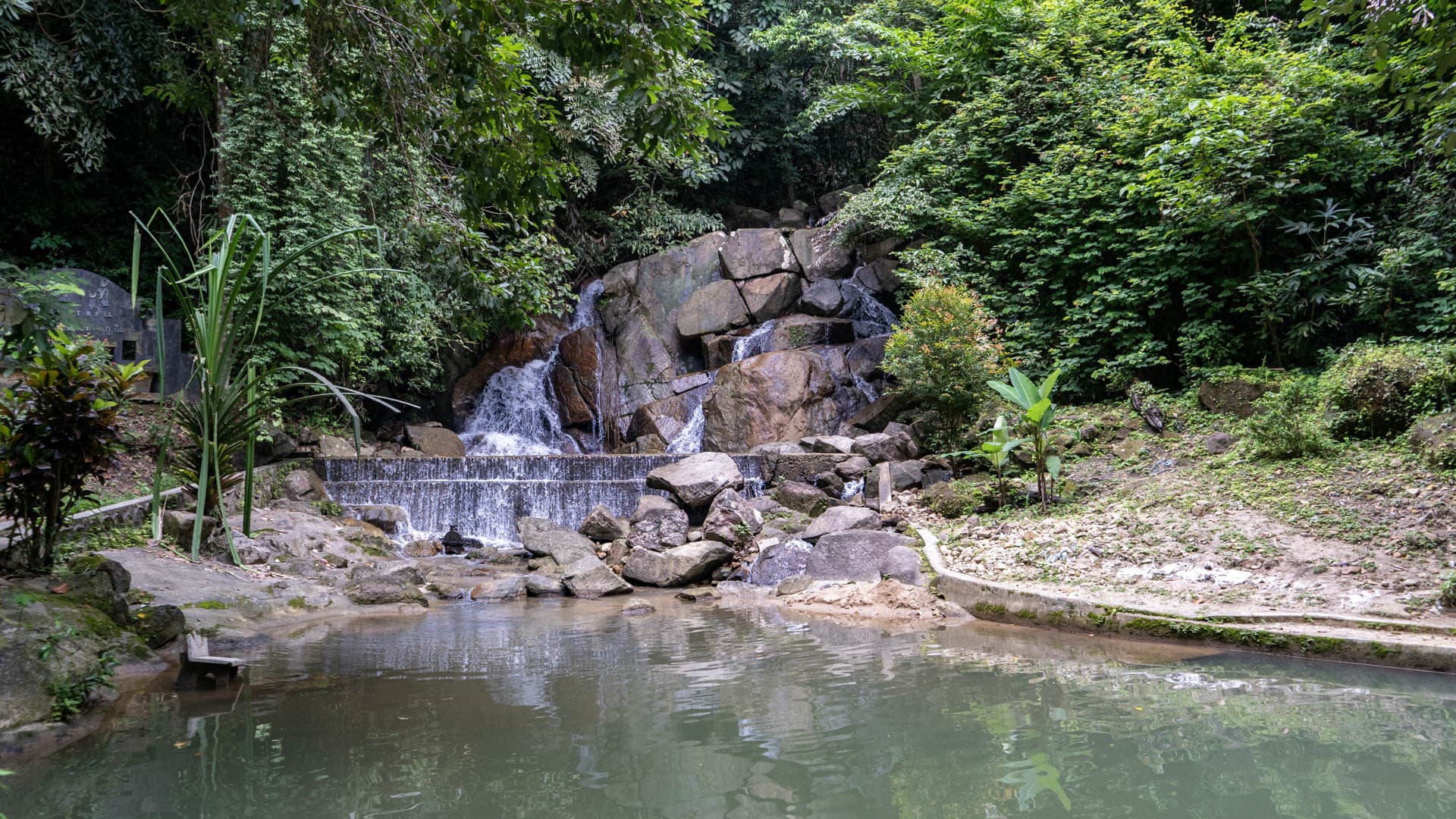 Two-tier waterfall over granite and concrete weir into green pool, dense rainforest canopy behind, rocky banks either side
