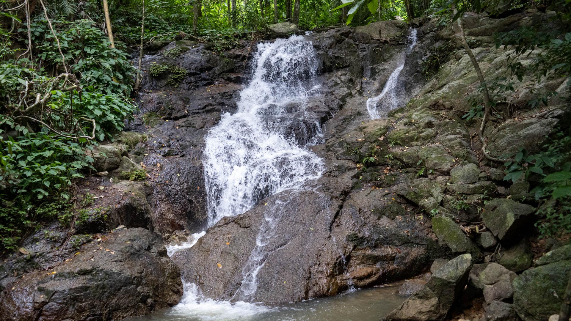 Multi-stream waterfall cascading over dark moss-covered granite rock face surrounded by dense green rainforest vegetation