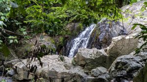 Waterfall dropping over dark granite face between moss-covered rocks and dense rainforest canopy with dead seedpods in foreground, Phuket