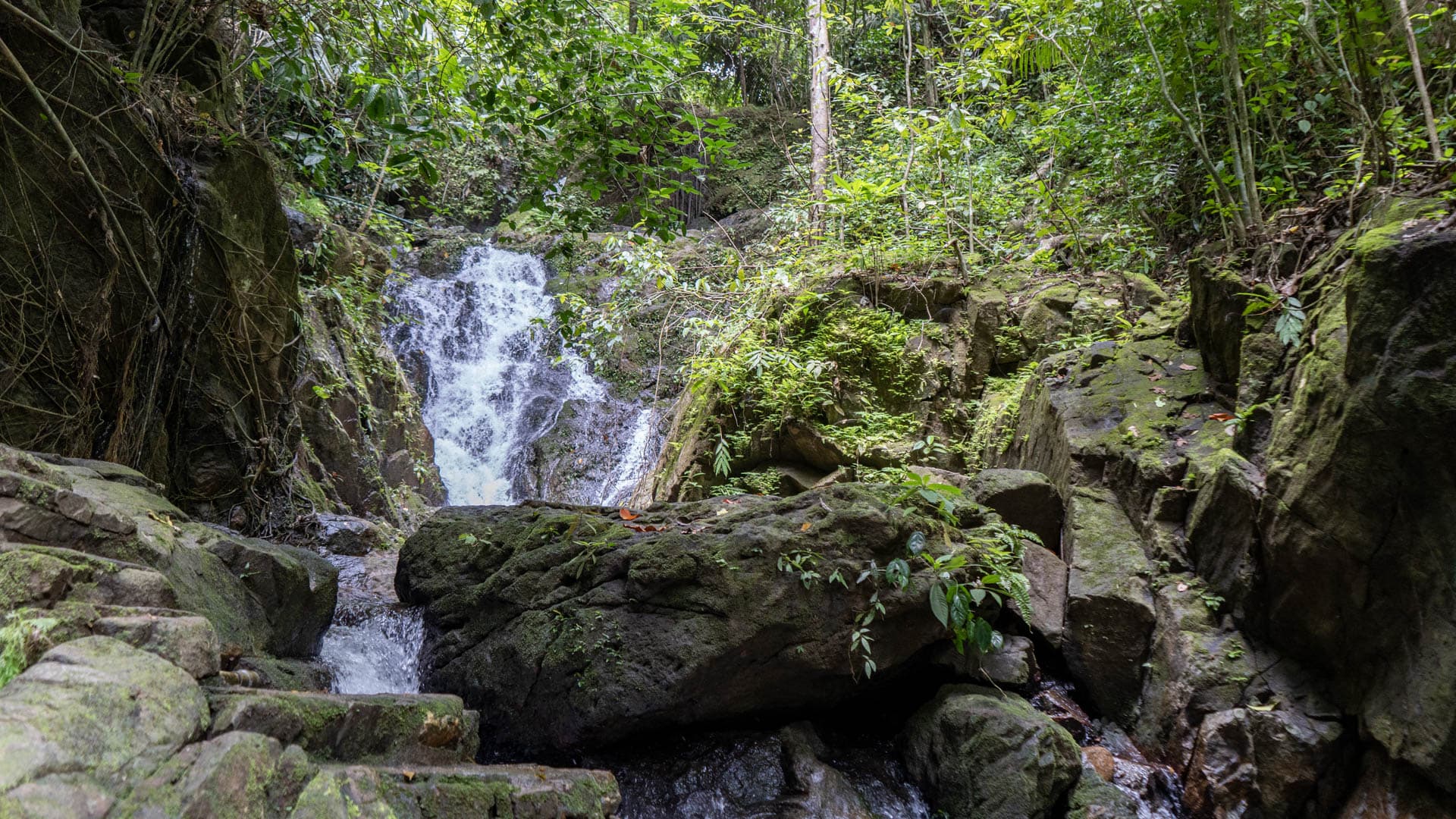 Two-stage waterfall dropping over granite into a moss-covered rock basin enclosed by rainforest, no visitors, Khao Phra Thaeo Phuket