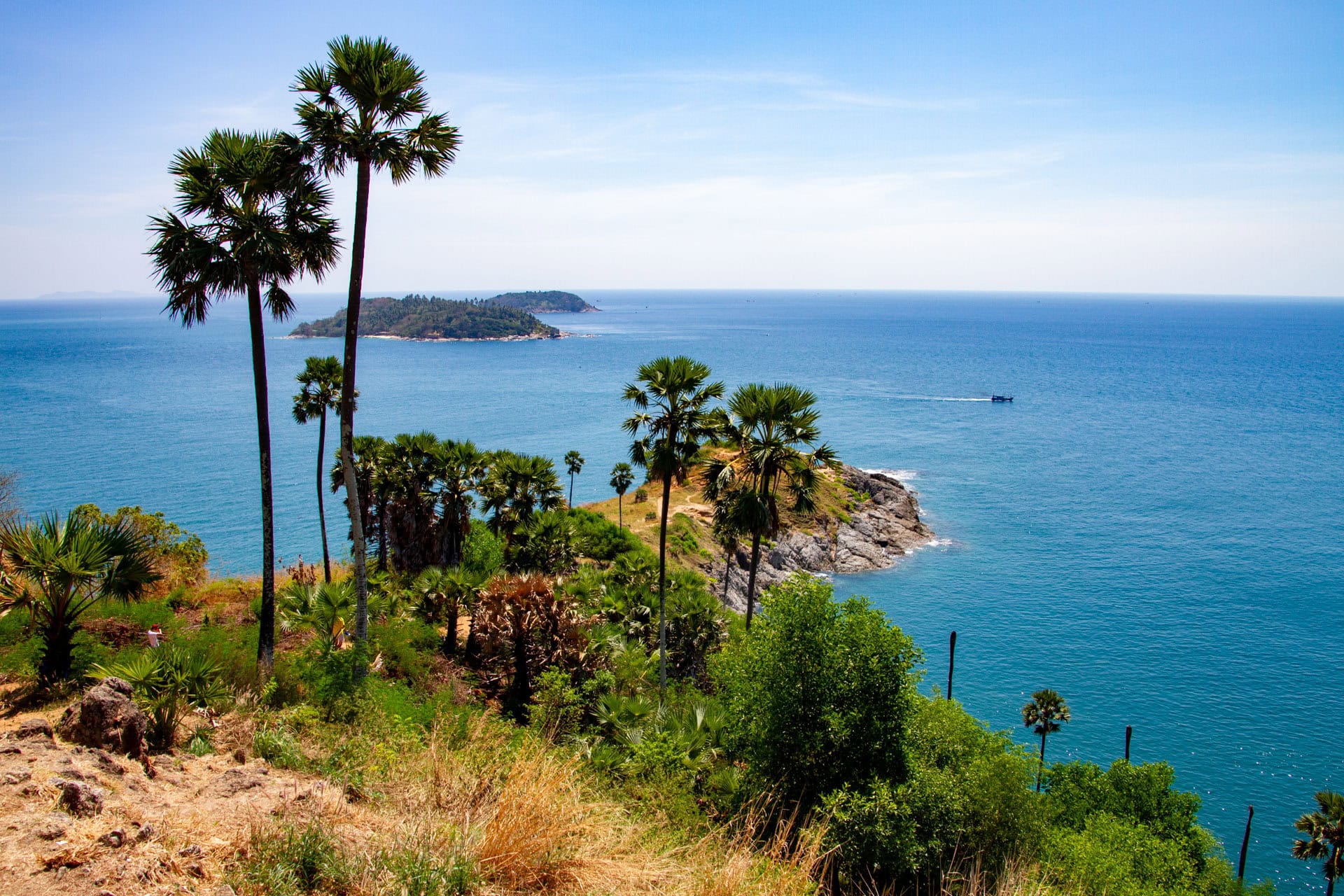 Palm trees and the rocky headland at Promthep Cape
