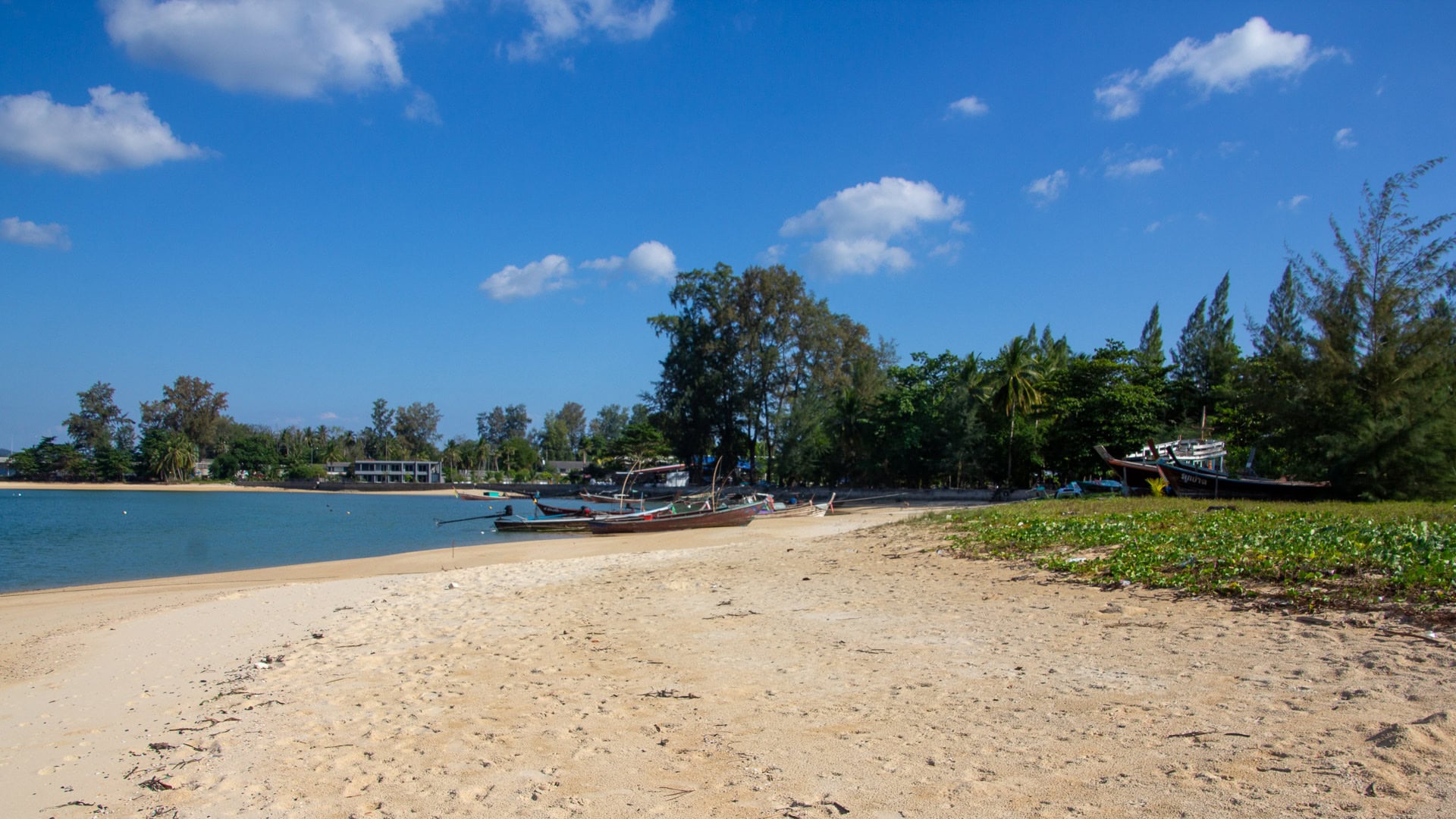 Fishing long-tail boats anchored on the sand at Haad Pak Phra Beach, Mai Khao, Phuket, beside the tree line.