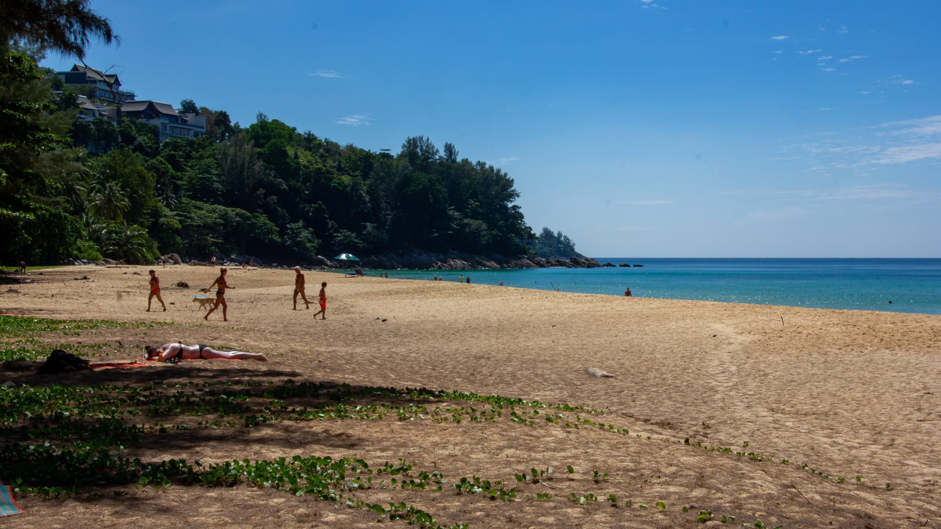 Naithon Beach Phuket wide sandy bay with a few people walking near the shoreline and hillside villas above the tree covered northern headland.