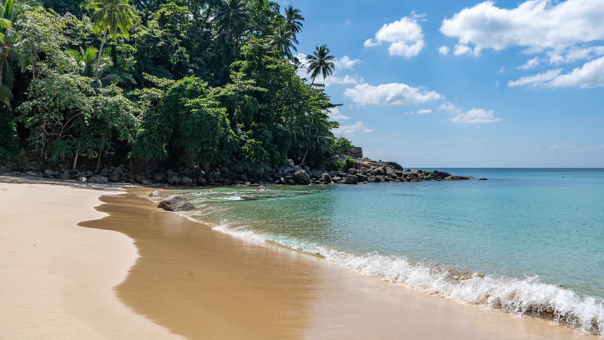 Waves meeting a quiet sandy shoreline beneath a cliff of trees.