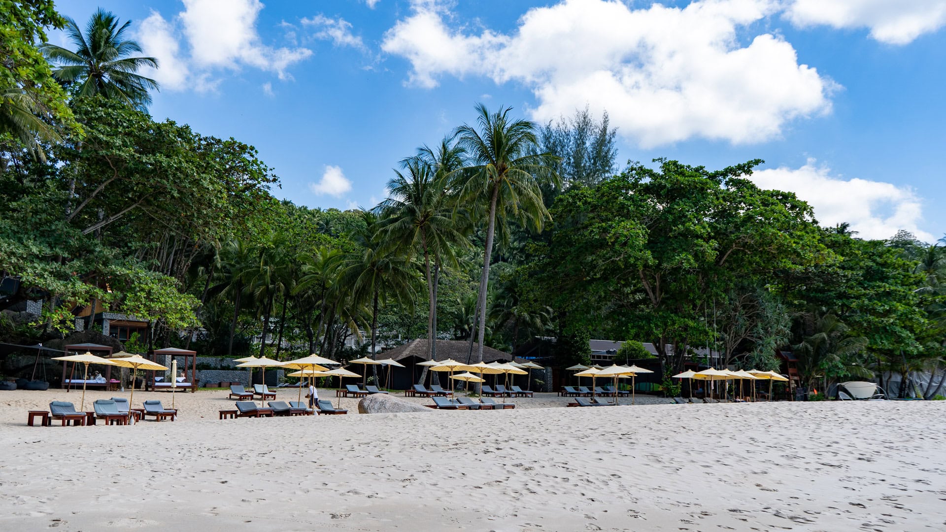 Sun loungers under palm trees beside soft white sand.