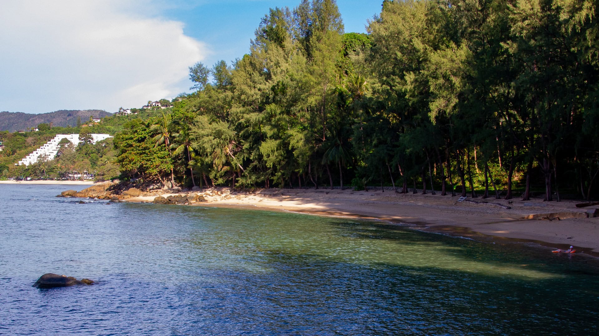 Hua Beach Phuket with elephants standing in shallow water near the shore