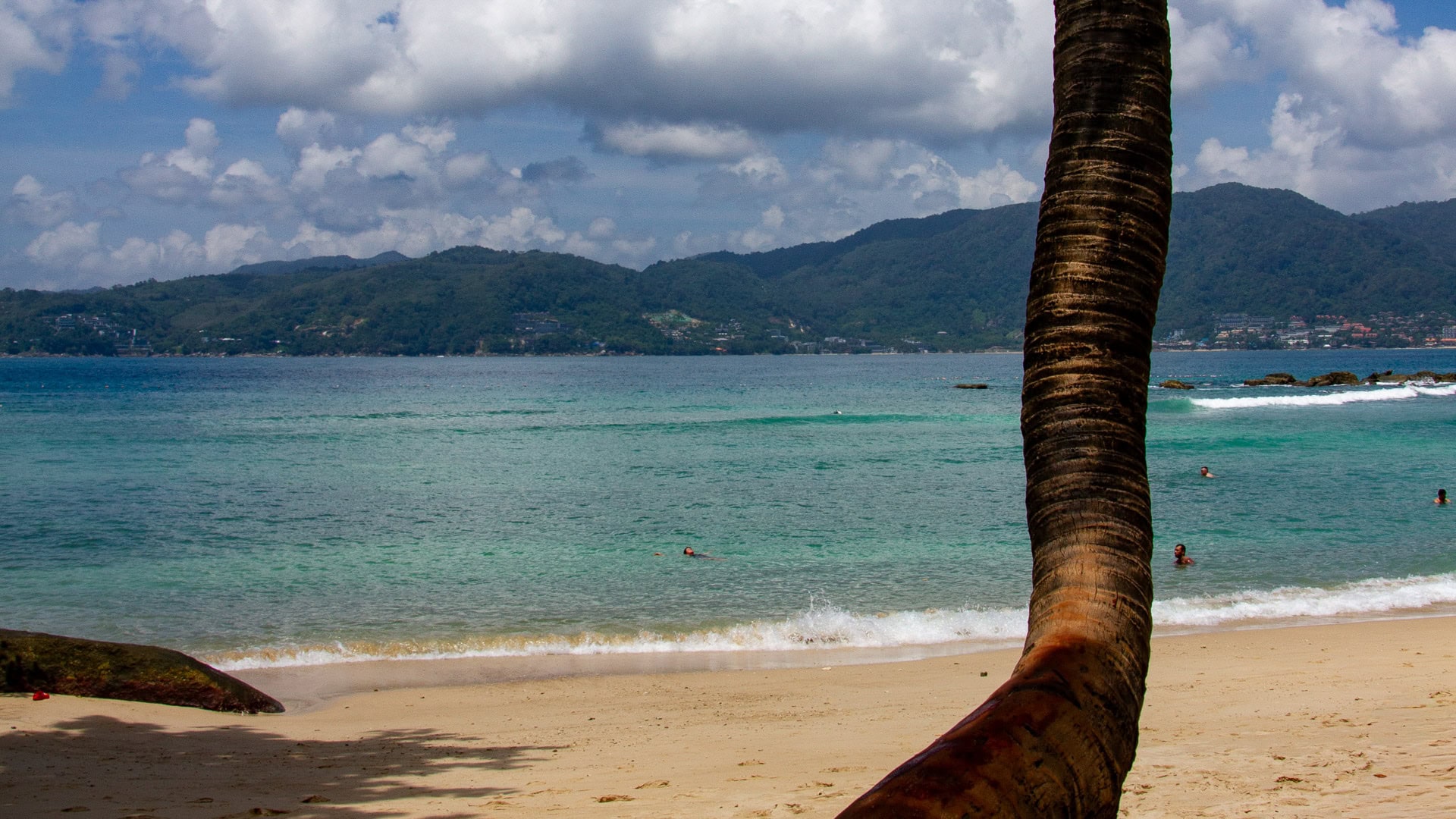 Paradise Beach Phuket sandy shoreline with palm tree and swimmers