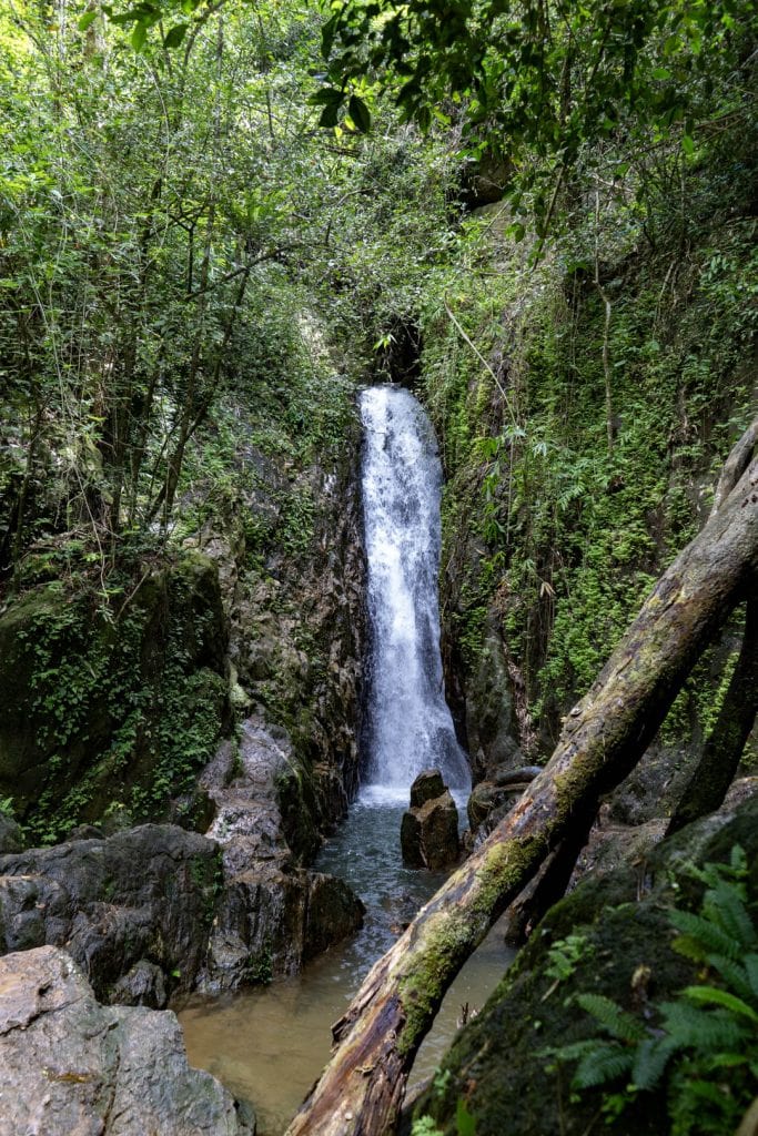 The main waterfall at Bang Pae Waterfall drops into a narrow pool between rock walls, with dense forest canopy above and a fallen trunk crossing the foreground.