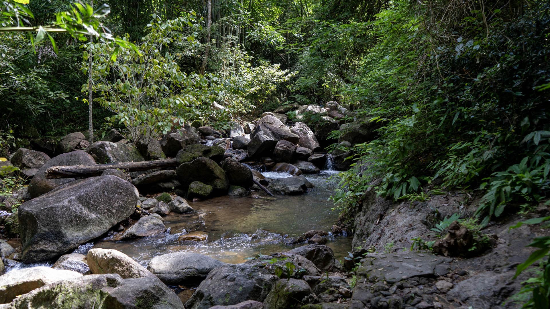 A shallow pool at Bang Pae Waterfall sits among large boulders, with a fallen log spanning the water and thick vegetation around the stream.
