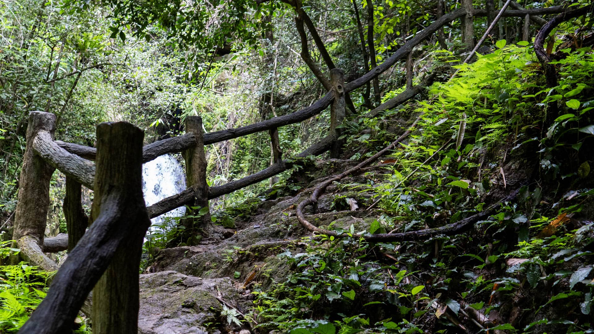 A steep trail at Bang Pae Waterfall climbs beside a rustic wooden rail, with exposed roots across the stone steps and the waterfall partly visible beyond.