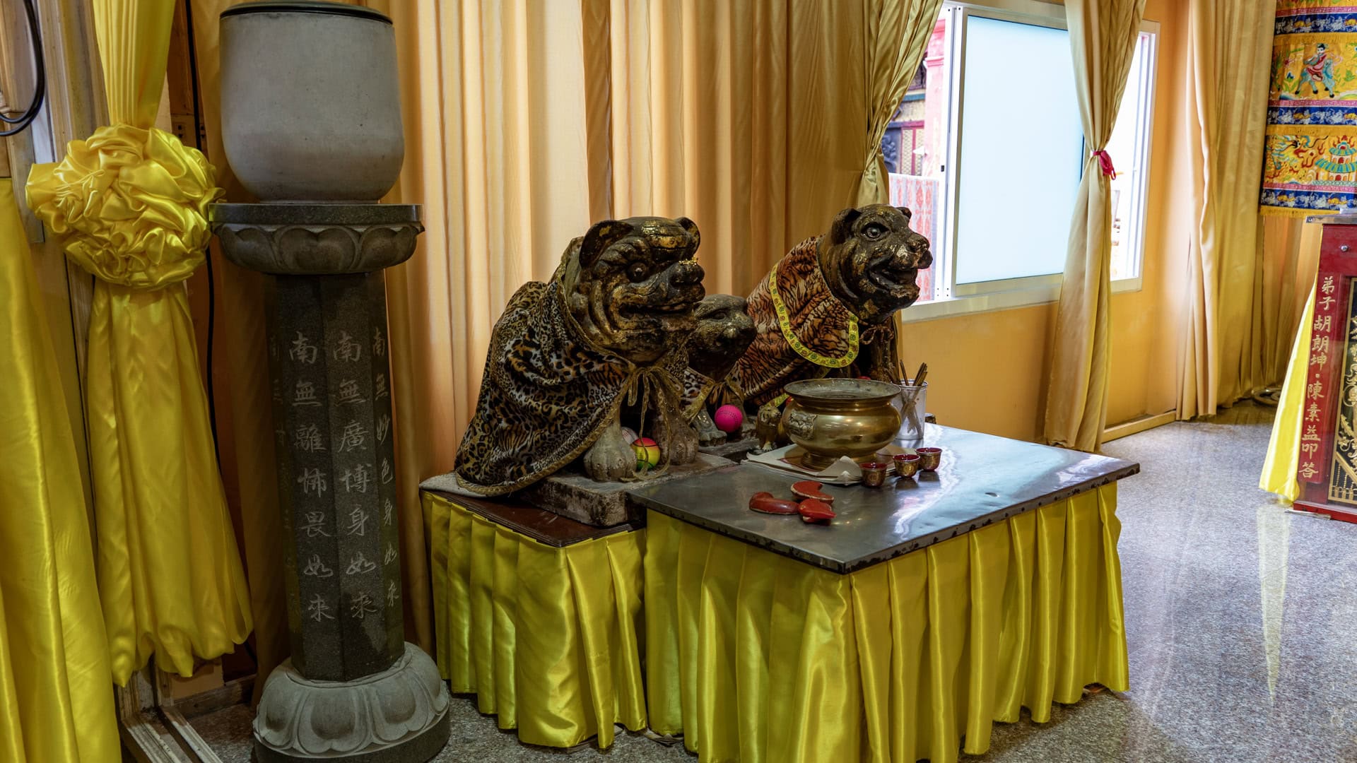 Three tiger figures at San Chao Jui Tui sit beside a metal offering table with an incense pot and small cups, with yellow curtains and a stone pillar nearby.