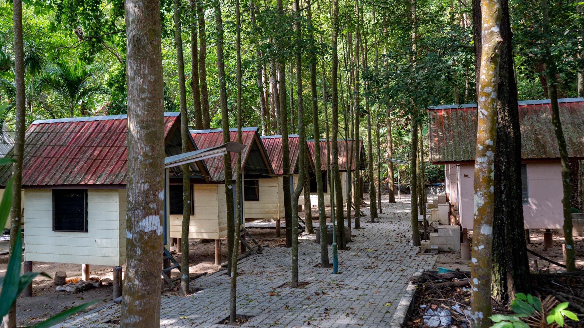 Wooden huts used by monks among trees at Wat Ban Koh Sirey temple