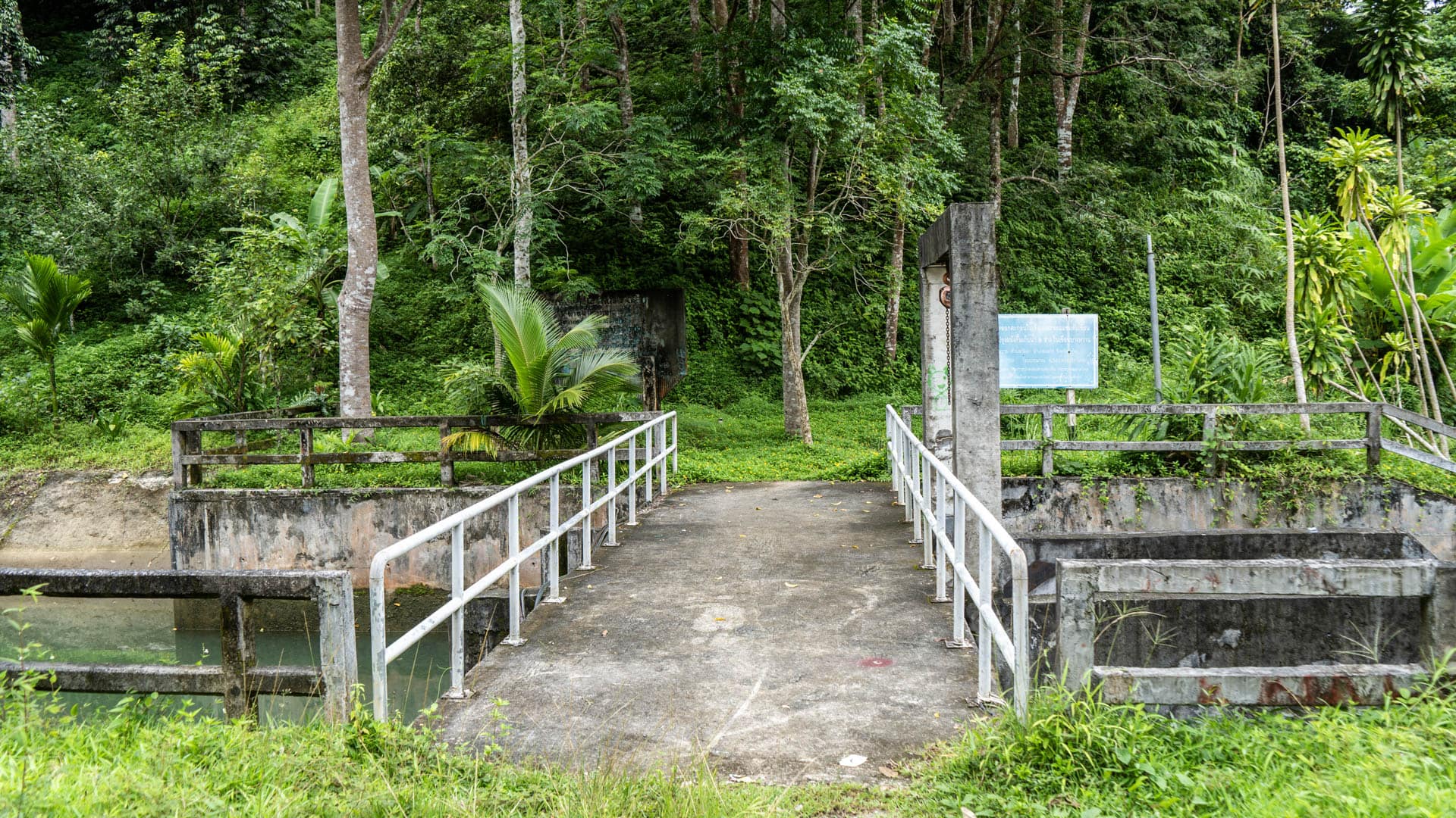Weathered concrete walkway with white metal railings spanning water channels flanked by overgrown vegetation and palm trees, information board on post, forest behind