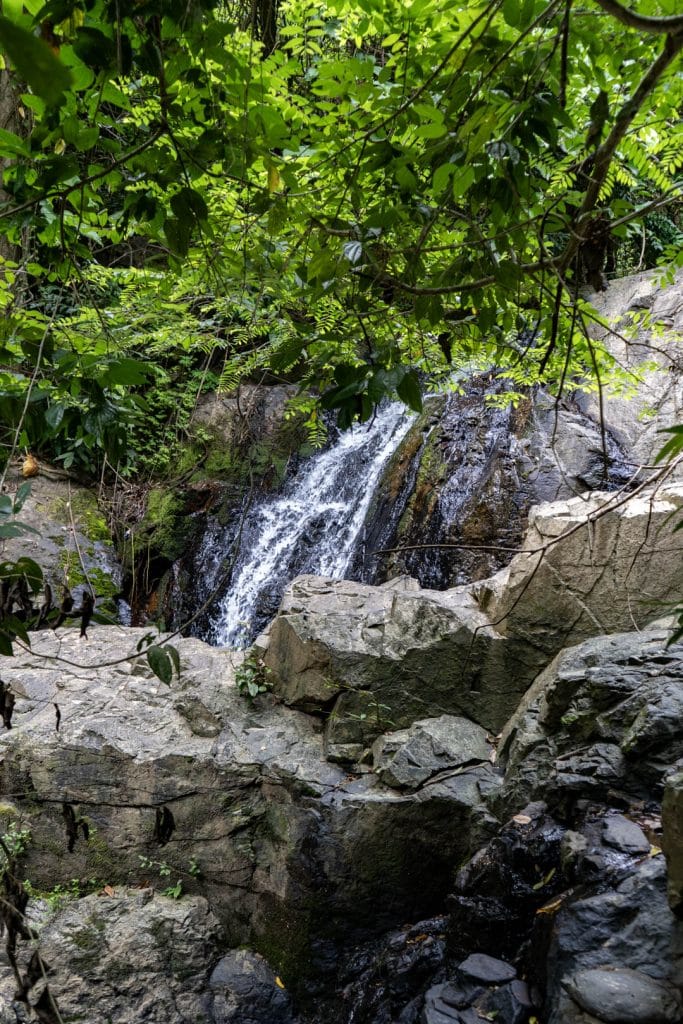 Narrow waterfall dropping over dark granite between moss-covered rocks framed by overhanging rainforest branches, portrait orientation, Phuket
