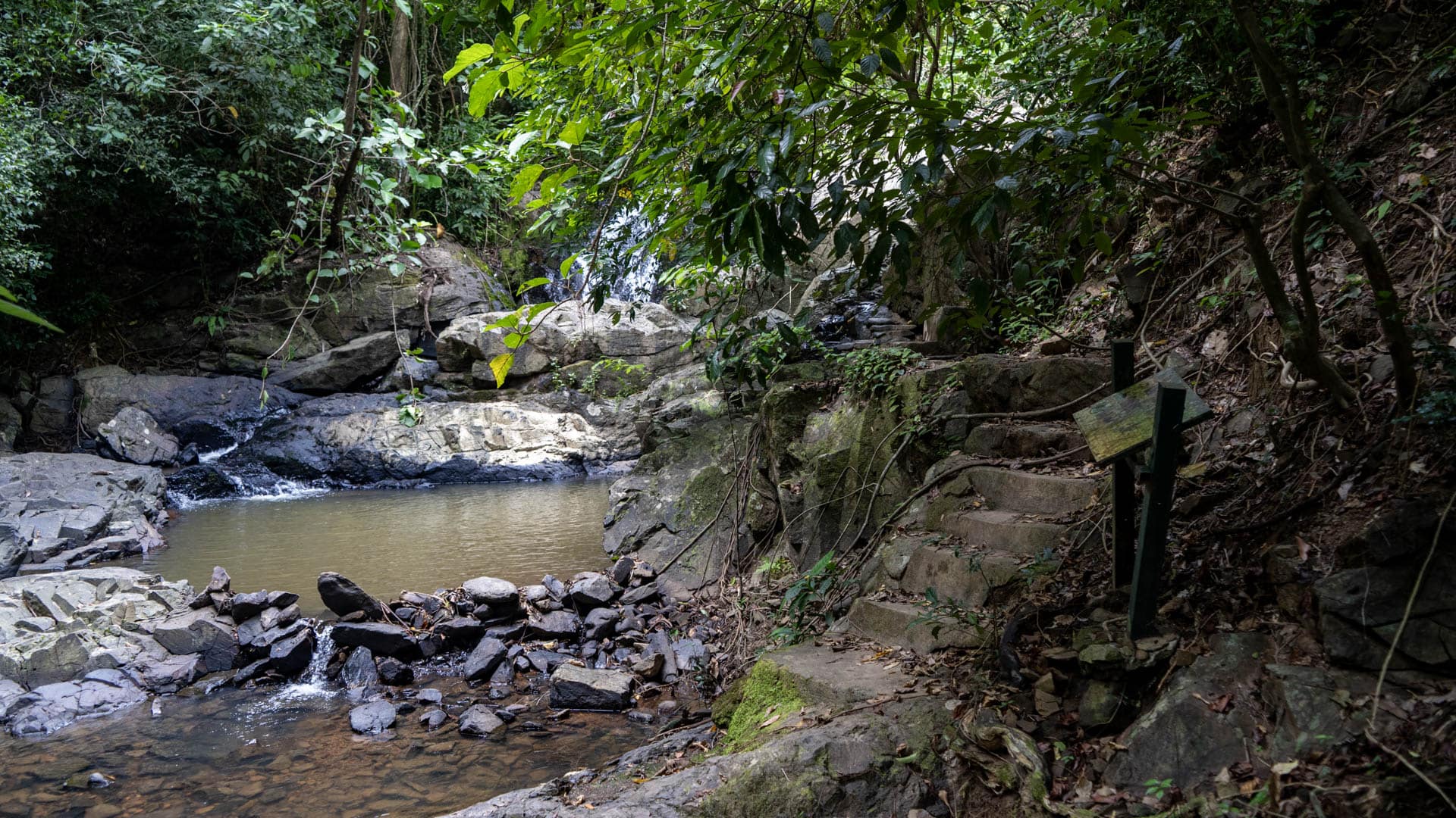Rock pool fed by cascade with concrete steps and metal railing on right bank surrounded by rainforest, Phuket