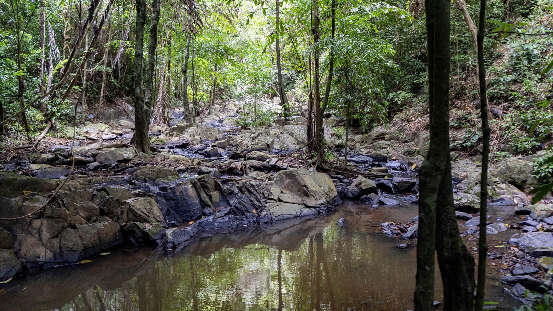 Still brown water pool reflecting tall rainforest trees between dark wet granite rocks and boulders, Phuket