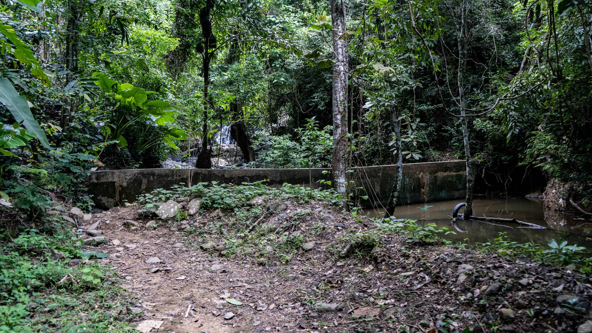 Dirt path leading to concrete water retention structure with discarded tyre in brown water, waterfall visible in background through rainforest, Phuket