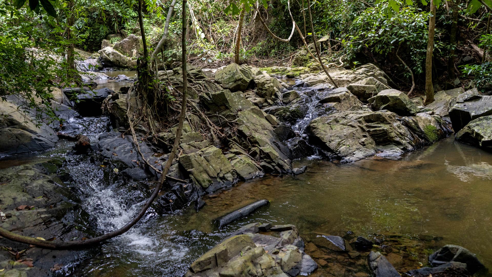 Water flowing over stepped dark granite slabs with hanging vines and shallow pool on right, rainforest canopy above, Phuket