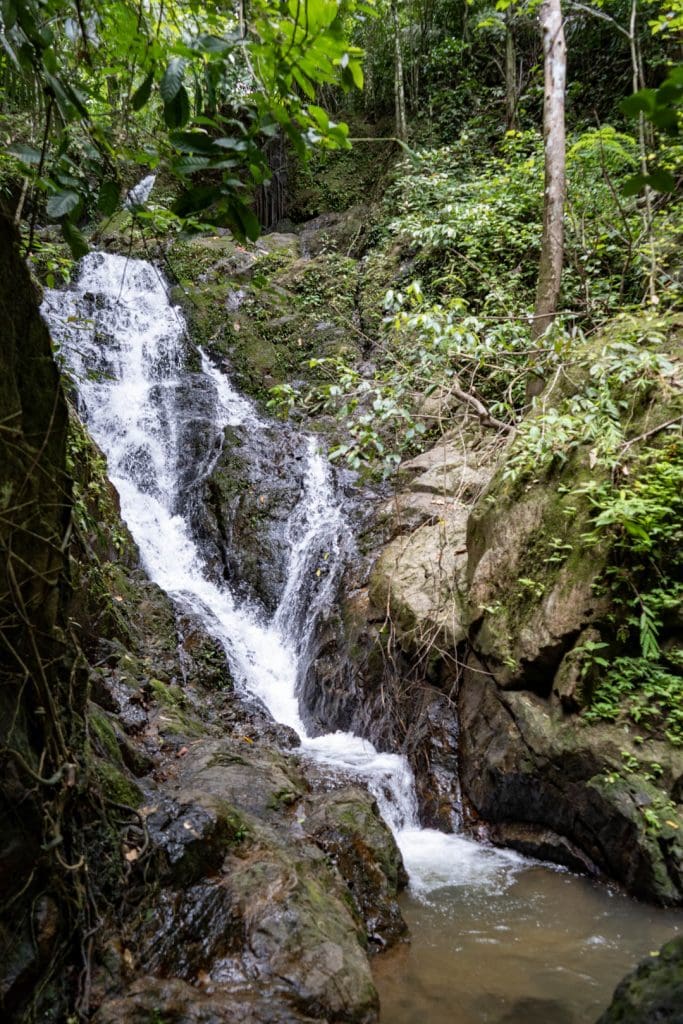 Narrow waterfall cascading over mossy granite in two stages into a shallow rock pool, dense rainforest, Phuket