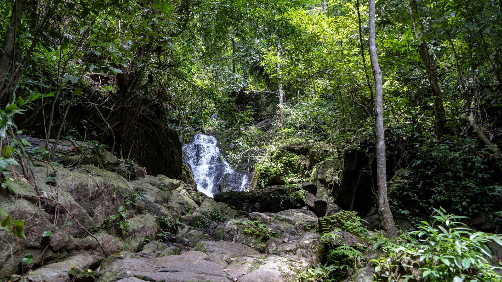 Wide granite rock apron leading toward a two-stage waterfall set within dense rainforest canopy, no visitors, Phuket