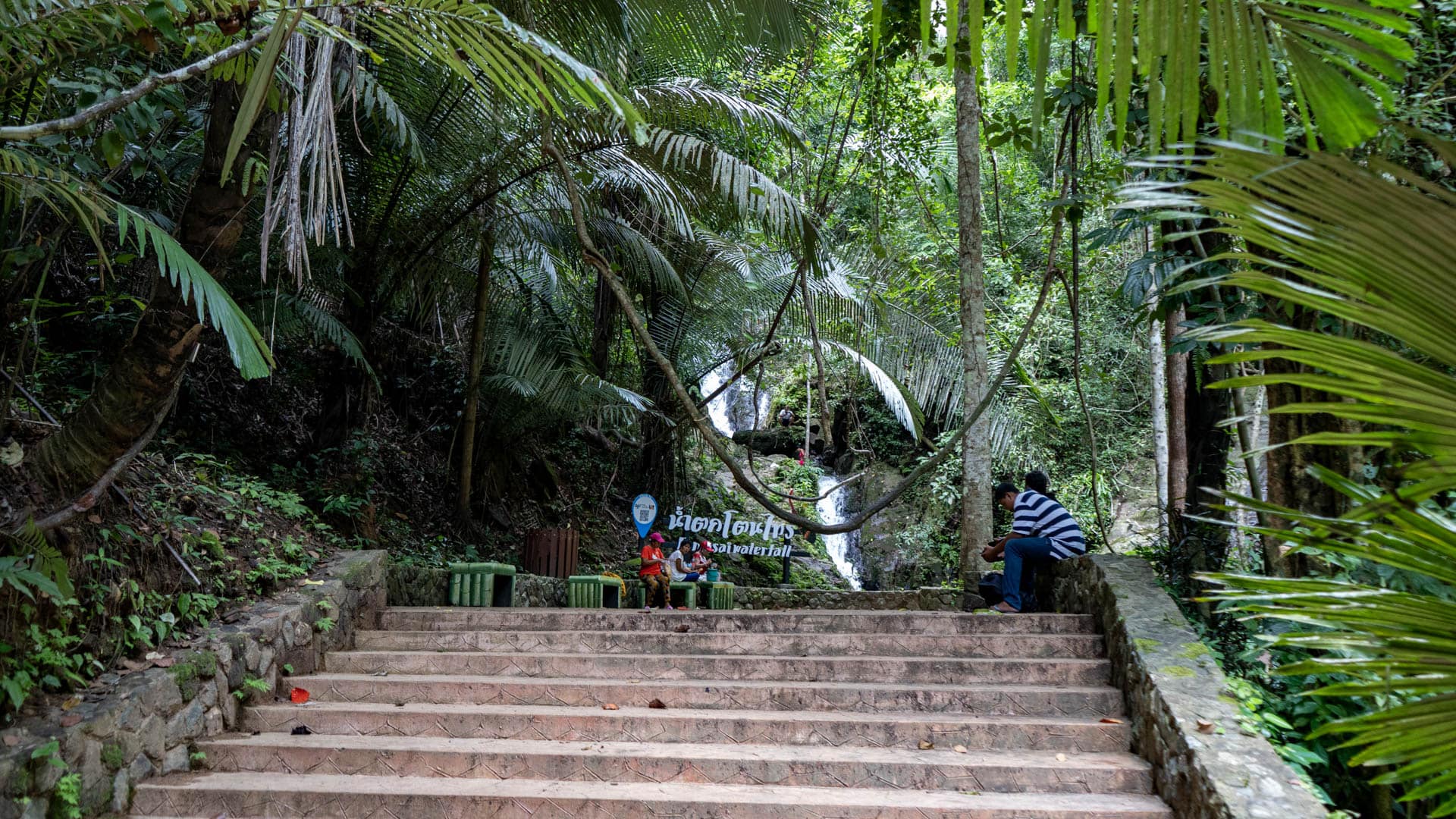 Concrete staircase descending toward Ton Sai waterfall sign and viewing area framed by palm fronds and rainforest, visitors seated, Phuket